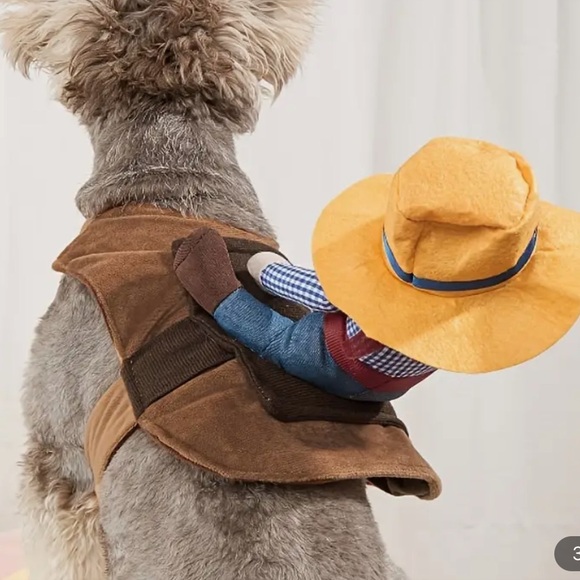 Funny Cowboy Rider Costume for Small and Medium Pets New - Picture 7 of 14